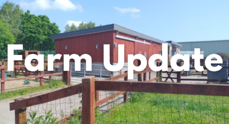 Photo of the school farm with 'farm update' written over it